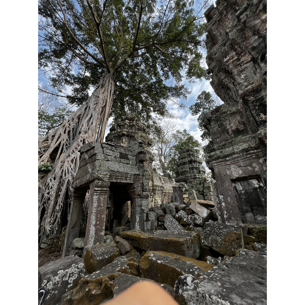 Picture Cambodia Siem Reap Ta Prohm 2023-01 114 - Discovery Ta Prohm