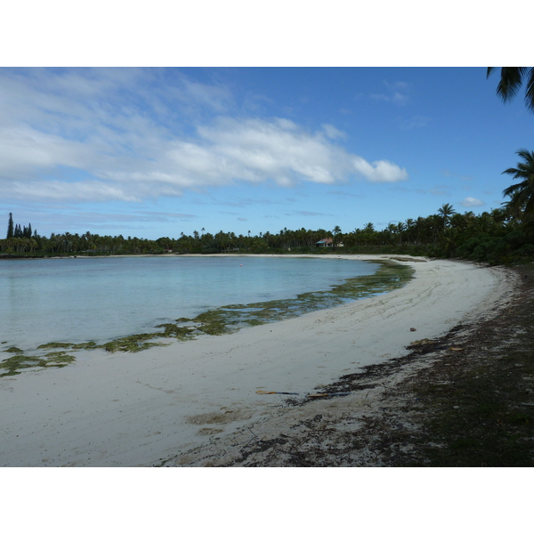 Picture New Caledonia Lifou Baie des tortues 2010-05 29 - Discovery Baie des tortues