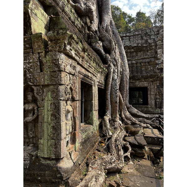 Picture Cambodia Siem Reap Ta Prohm 2023-01 142 - Tours Ta Prohm