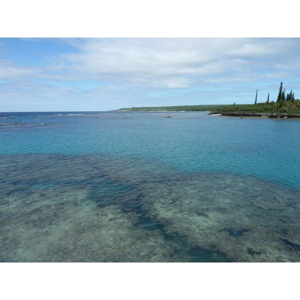 Picture New Caledonia 2010-05 67 - Discovery New Caledonia