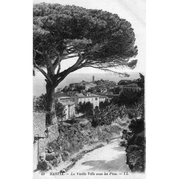 Picture France Corsica Old Postcards bastia 1900-01 55 - Tour bastia