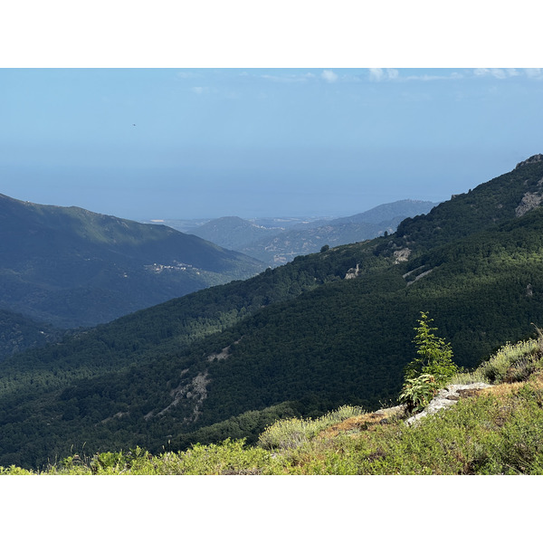 Picture France Corsica Refuge de Callerucciu 2022-06 47 - Center Refuge de Callerucciu