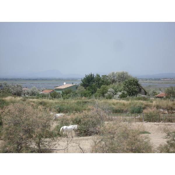 Picture France Camargue 2006-06 6 - Recreation Camargue