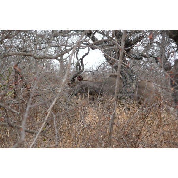 Picture South Africa Kruger National Park Crocodile River road 2008-09 40 - Recreation Crocodile River road