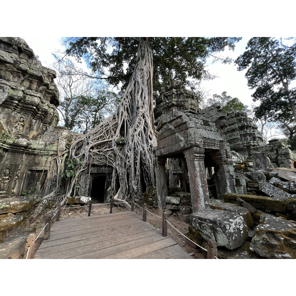 Picture Cambodia Siem Reap Ta Prohm 2023-01 155 - Center Ta Prohm