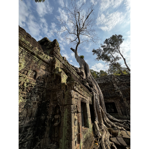 Picture Cambodia Siem Reap Ta Prohm 2023-01 18 - Discovery Ta Prohm