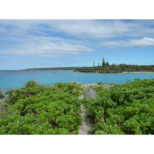 Picture New Caledonia Lifou Baie des tortues 2010-05 11 - Center Baie des tortues