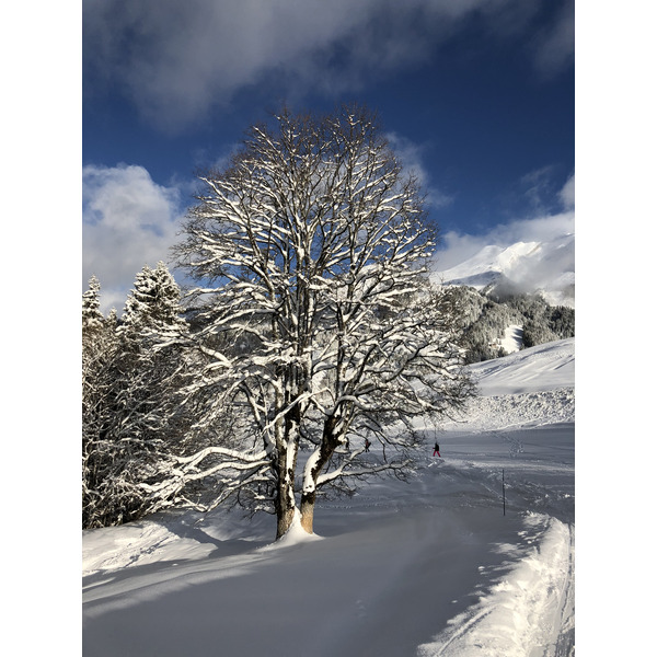 Picture France La Clusaz 2017-12 64 - Discovery La Clusaz