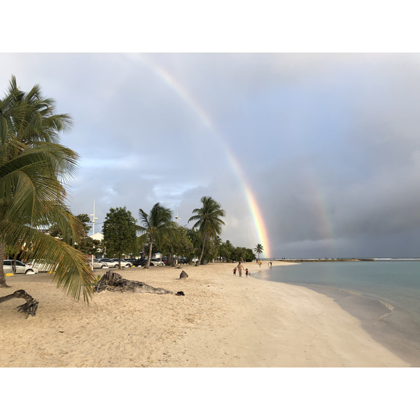 Picture Guadeloupe Sainte Anne 2021-02 63 - Discovery Sainte Anne