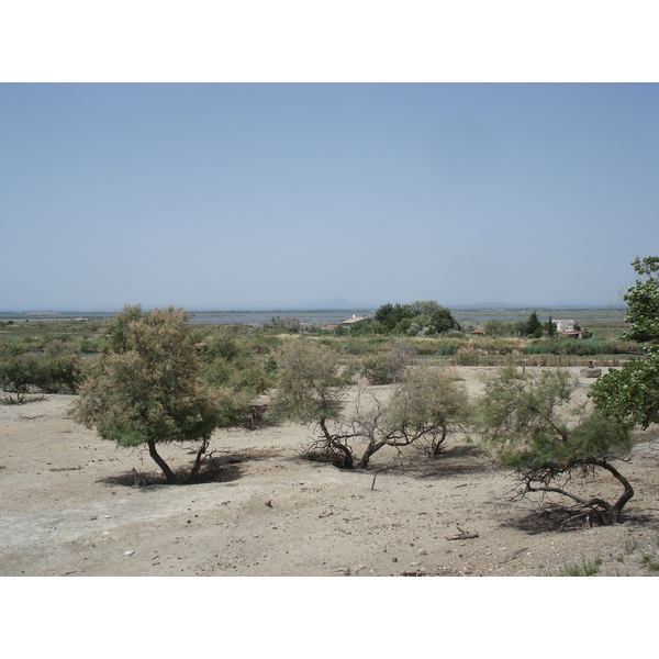 Picture France Camargue 2006-06 10 - Journey Camargue