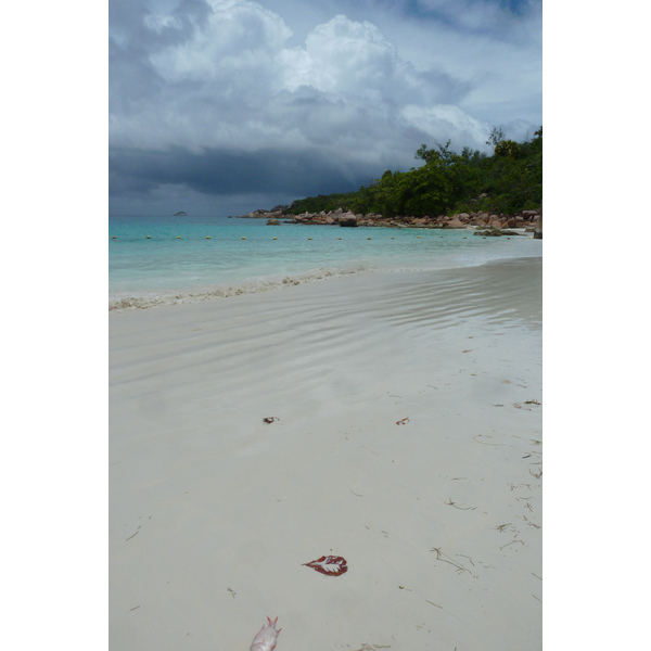 Picture Seychelles Anse Lazio 2011-10 155 - Center Anse Lazio