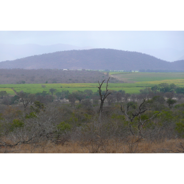 Picture South Africa Kruger National Park Crocodile River road 2008-09 17 - Center Crocodile River road