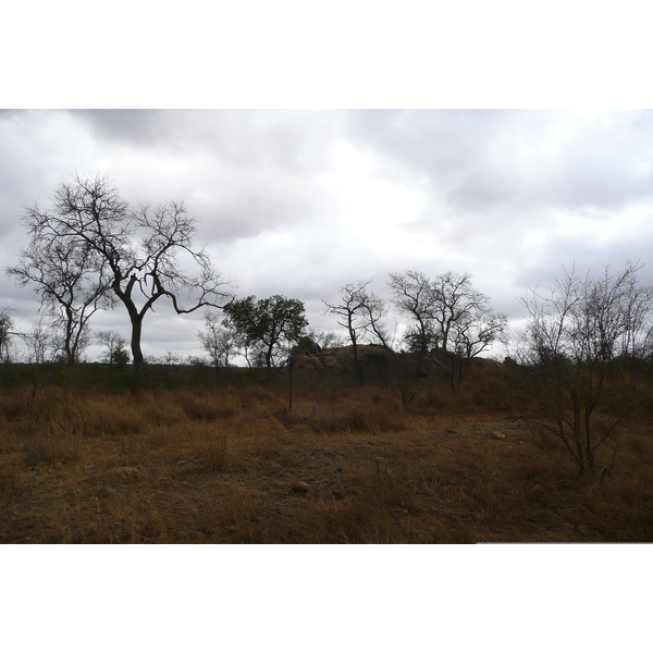 Picture South Africa Kruger National Park Crocodile River road 2008-09 16 - Journey Crocodile River road