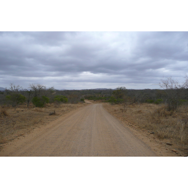 Picture South Africa Kruger National Park Crocodile River road 2008-09 1 - Tours Crocodile River road