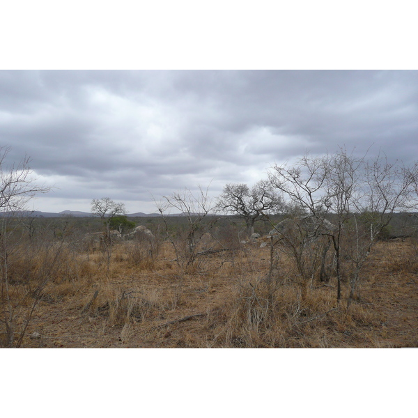 Picture South Africa Kruger National Park Crocodile River road 2008-09 11 - History Crocodile River road