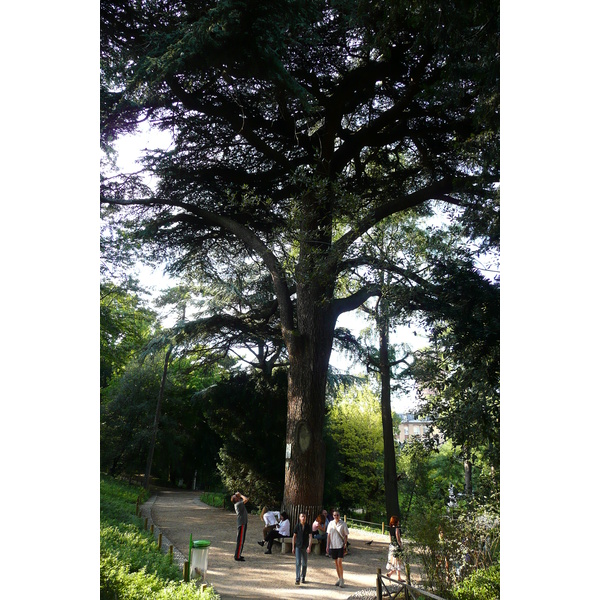 Picture France Paris Jardin des Plantes 2007-08 11 - Discovery Jardin des Plantes