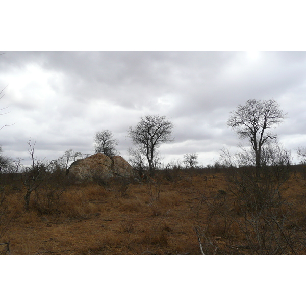 Picture South Africa Kruger National Park Crocodile River road 2008-09 61 - Recreation Crocodile River road