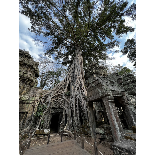 Picture Cambodia Siem Reap Ta Prohm 2023-01 11 - Tours Ta Prohm