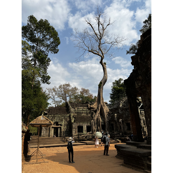 Picture Cambodia Siem Reap Ta Prohm 2023-01 21 - Journey Ta Prohm