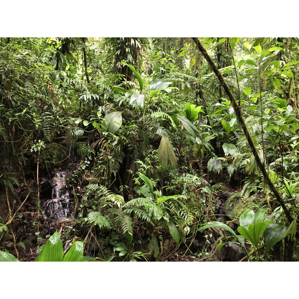 Picture Guadeloupe Carbet Falls 2021-02 17 - Recreation Carbet Falls