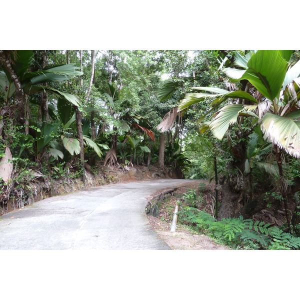 Picture Seychelles Praslin 2011-10 35 - Tour Praslin