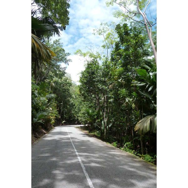 Picture Seychelles Vallee de Mai 2011-10 37 - Tour Vallee de Mai