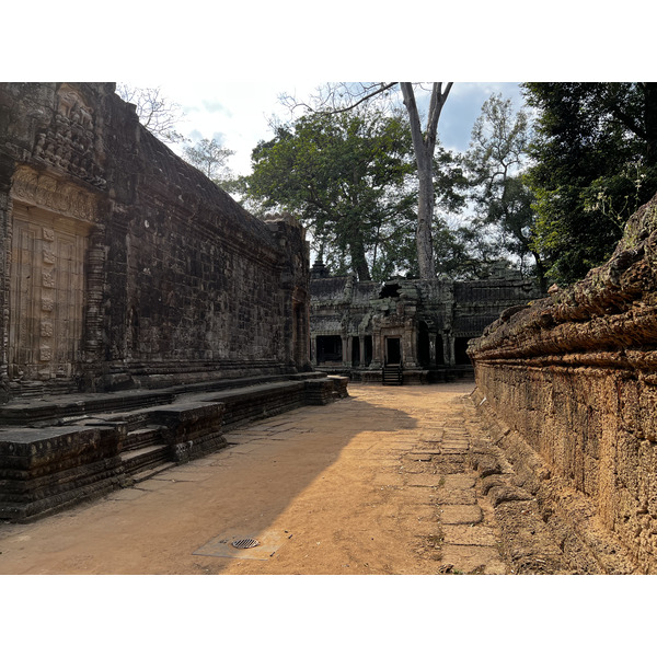 Picture Cambodia Siem Reap Ta Prohm 2023-01 117 - Tour Ta Prohm