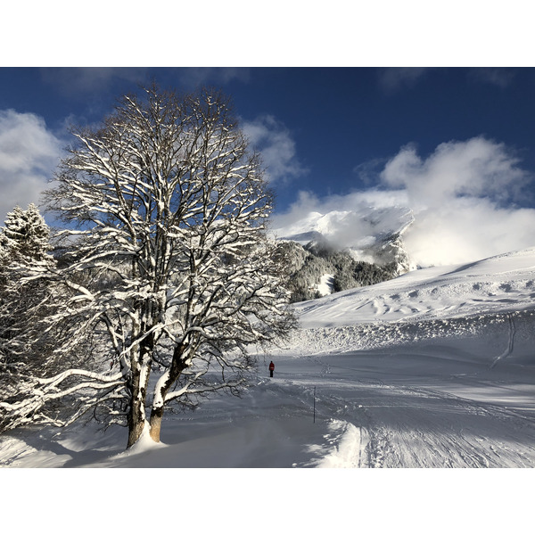 Picture France La Clusaz 2017-12 326 - Recreation La Clusaz