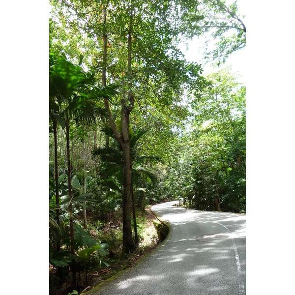 Picture Seychelles Vallee de Mai 2011-10 35 - Discovery Vallee de Mai