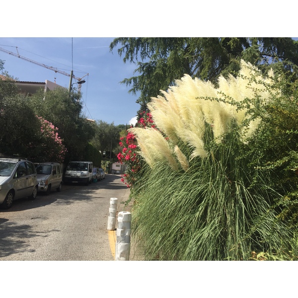 Picture France Vence 2017-08 4 - Tour Vence