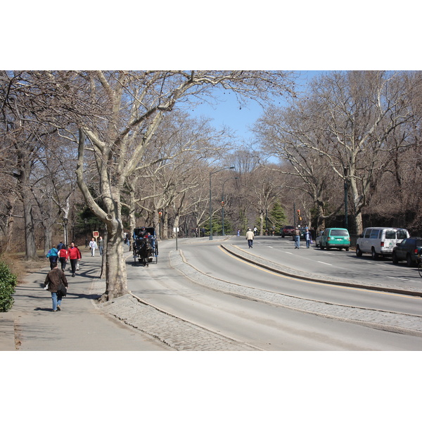 Picture United States New York Central Park 2006-03 9 - Journey Central Park