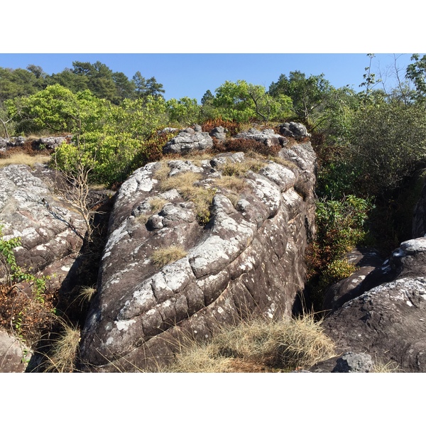 Picture Thailand Phu Hin Rong Kla National Park 2014-12 298 - Tours Phu Hin Rong Kla National Park