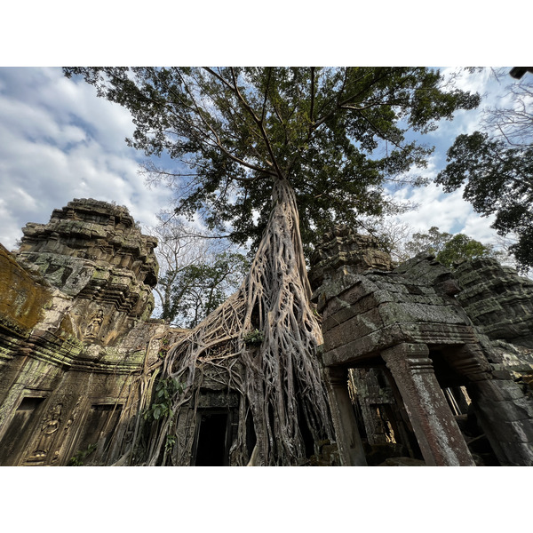 Picture Cambodia Siem Reap Ta Prohm 2023-01 59 - Center Ta Prohm