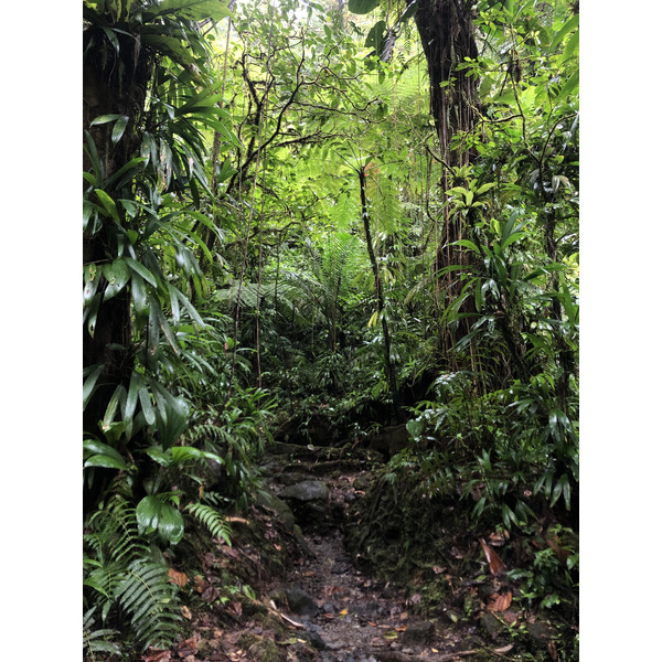 Picture Guadeloupe Carbet Falls 2021-02 5 - Recreation Carbet Falls