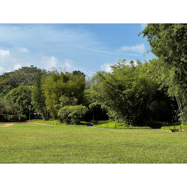 Picture Singapore Singapore Botanic Gardens 2023-01 2 - Journey Singapore Botanic Gardens