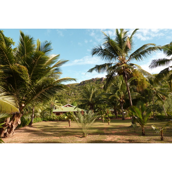 Picture Seychelles Anse Lazio 2011-10 69 - Tours Anse Lazio