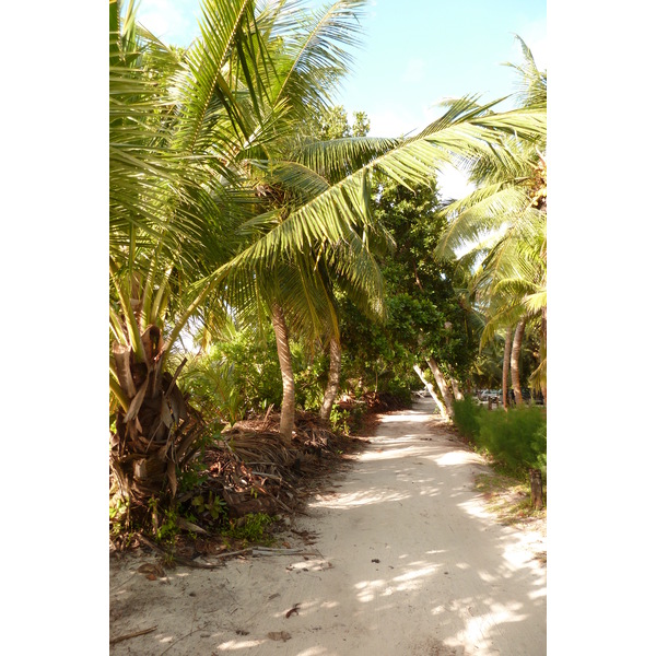 Picture Seychelles Anse Lazio 2011-10 36 - Around Anse Lazio