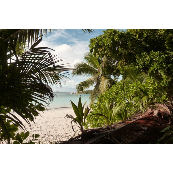 Picture Seychelles Anse Lazio 2011-10 47 - Center Anse Lazio