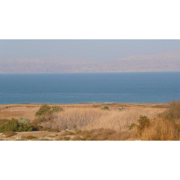 Picture Israel Dead Sea 2007-06 160 - Tour Dead Sea