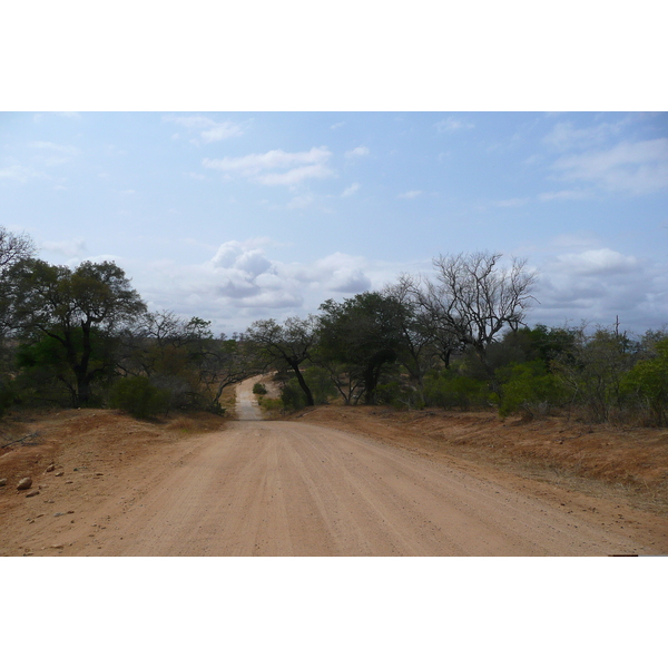 Picture South Africa Kruger National Park Crocodile River road 2008-09 56 - Journey Crocodile River road