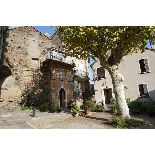 Picture France Corsica Vescovato 2017-09 39 - Tours Vescovato