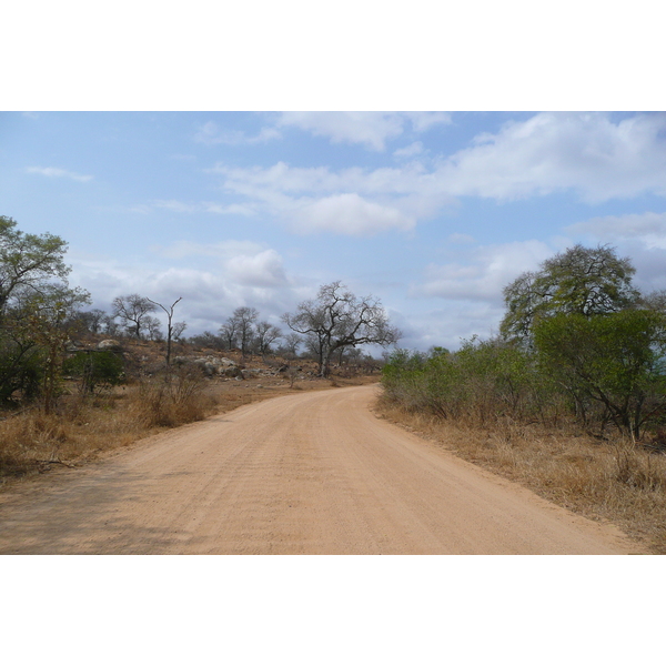 Picture South Africa Kruger National Park Crocodile River road 2008-09 57 - Tour Crocodile River road