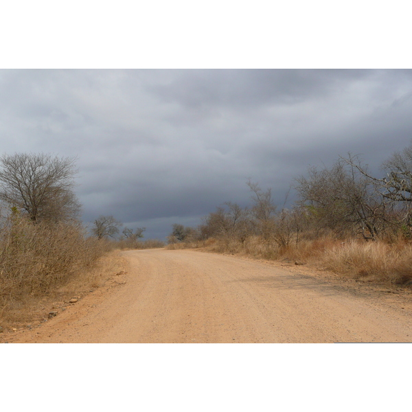 Picture South Africa Kruger National Park Crocodile River road 2008-09 59 - Around Crocodile River road