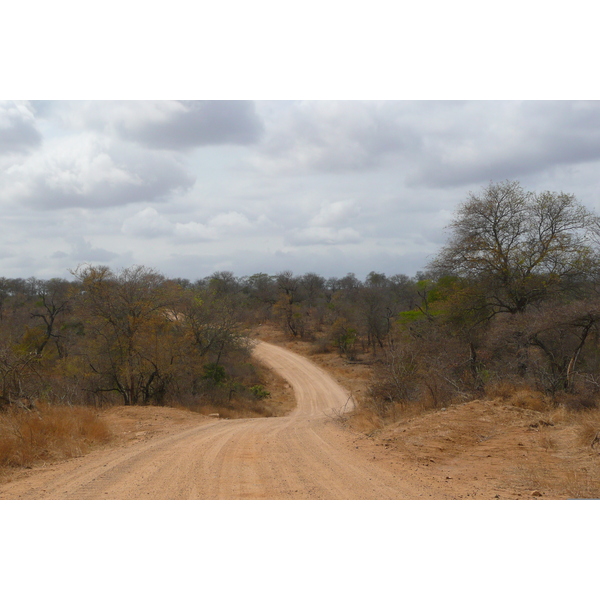 Picture South Africa Kruger National Park Crocodile River road 2008-09 4 - Around Crocodile River road