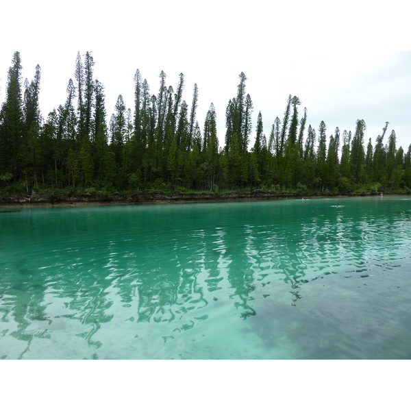 Picture New Caledonia Ile des pins Oro Bay 2010-05 76 - Around Oro Bay