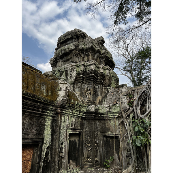 Picture Cambodia Siem Reap Ta Prohm 2023-01 60 - History Ta Prohm