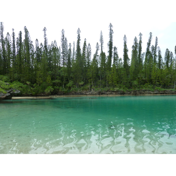 Picture New Caledonia Ile des pins Oro Bay 2010-05 90 - Center Oro Bay