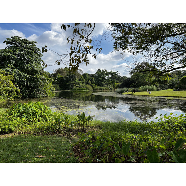 Picture Singapore Singapore Botanic Gardens 2023-01 123 - Discovery Singapore Botanic Gardens