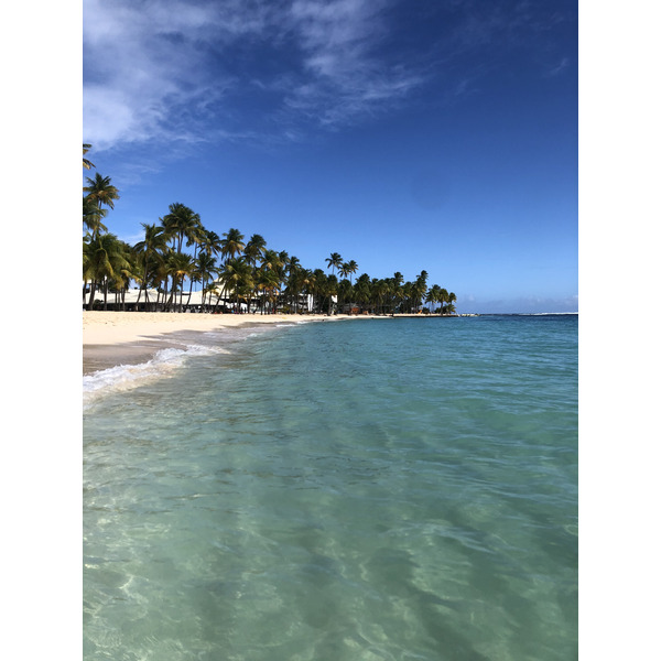 Picture Guadeloupe La Caravelle Beach 2021-02 144 - Discovery La Caravelle Beach