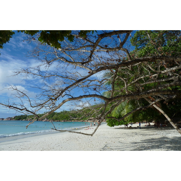 Picture Seychelles Anse Lazio 2011-10 37 - Discovery Anse Lazio